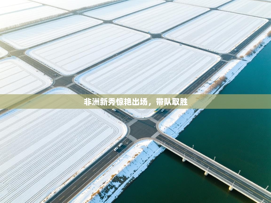 非洲新秀惊艳出场,带队取胜 第2张