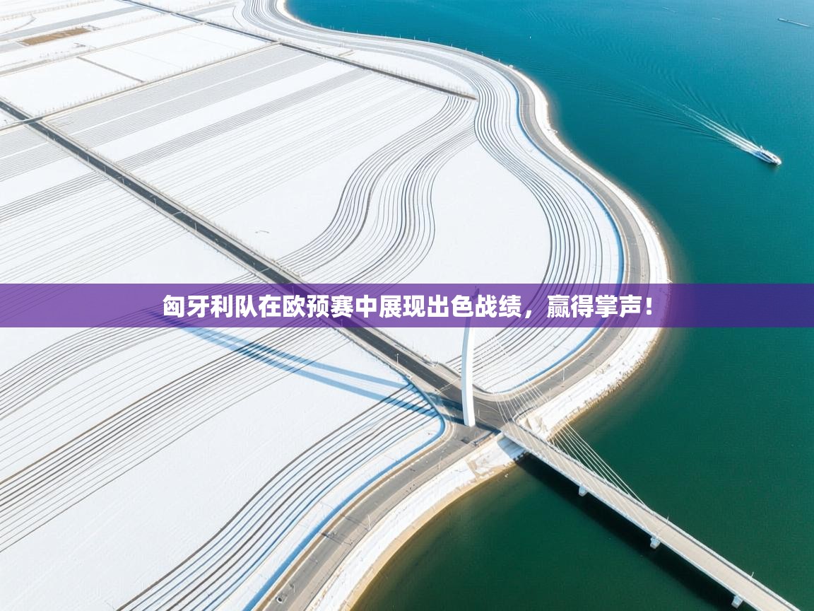 匈牙利队在欧预赛中展现出色战绩，赢得掌声！  第2张