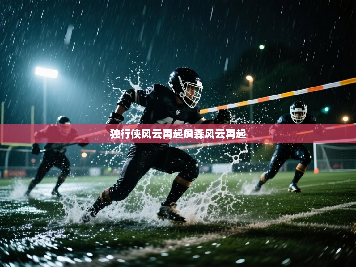 独行侠风云再起詹森风云再起 第2张